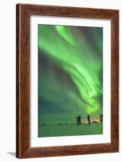 Aurora Borealis with Taurus and Orion over Churchill, Manitoba, Canada-Stocktrek Images-Framed Photographic Print