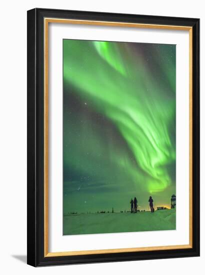 Aurora Borealis with Taurus and Orion over Churchill, Manitoba, Canada-Stocktrek Images-Framed Photographic Print