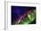 Aurora Borealis with the Milky Way Galaxy.-Arctic-Images-Framed Photographic Print