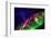 Aurora Borealis with the Milky Way Galaxy.-Arctic-Images-Framed Photographic Print