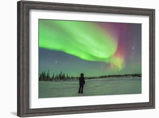 Aurora Borealis with Vega and Arcturus Stars over Churchill, Manitoba, Canada-Stocktrek Images-Framed Photographic Print