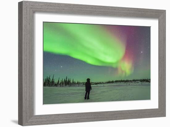 Aurora Borealis with Vega and Arcturus Stars over Churchill, Manitoba, Canada-Stocktrek Images-Framed Photographic Print