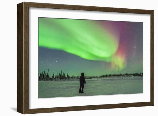 Aurora Borealis with Vega and Arcturus Stars over Churchill, Manitoba, Canada-Stocktrek Images-Framed Photographic Print