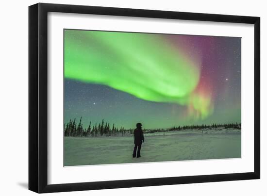 Aurora Borealis with Vega and Arcturus Stars over Churchill, Manitoba, Canada-Stocktrek Images-Framed Photographic Print