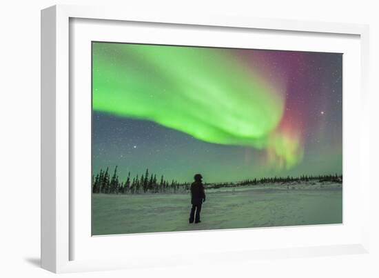 Aurora Borealis with Vega and Arcturus Stars over Churchill, Manitoba, Canada-Stocktrek Images-Framed Photographic Print