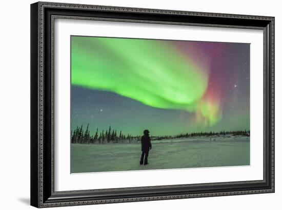 Aurora Borealis with Vega and Arcturus Stars over Churchill, Manitoba, Canada-Stocktrek Images-Framed Photographic Print