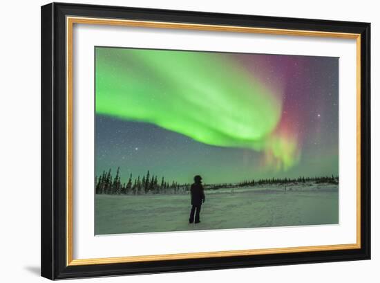 Aurora Borealis with Vega and Arcturus Stars over Churchill, Manitoba, Canada-Stocktrek Images-Framed Photographic Print