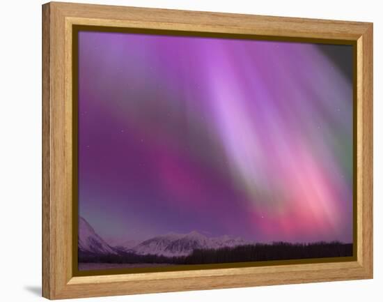 Aurora Borealis, Wrangell Mountains, Alaska, USA-Hugh Rose-Framed Premier Image Canvas