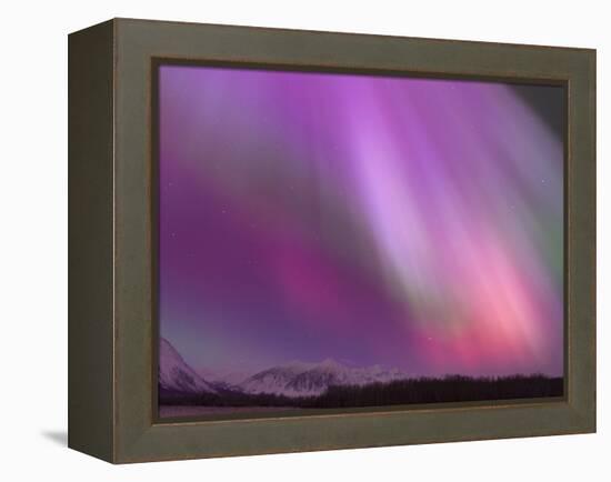 Aurora Borealis, Wrangell Mountains, Alaska, USA-Hugh Rose-Framed Premier Image Canvas