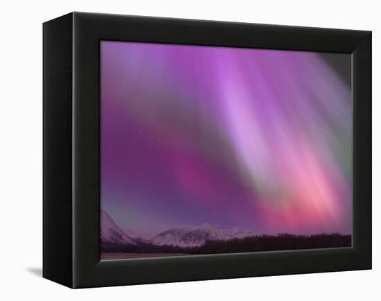 Aurora Borealis, Wrangell Mountains, Alaska, USA-Hugh Rose-Framed Premier Image Canvas