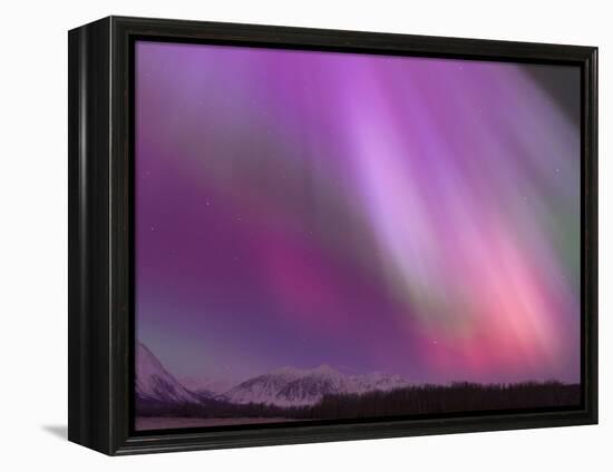 Aurora Borealis, Wrangell Mountains, Alaska, USA-Hugh Rose-Framed Premier Image Canvas