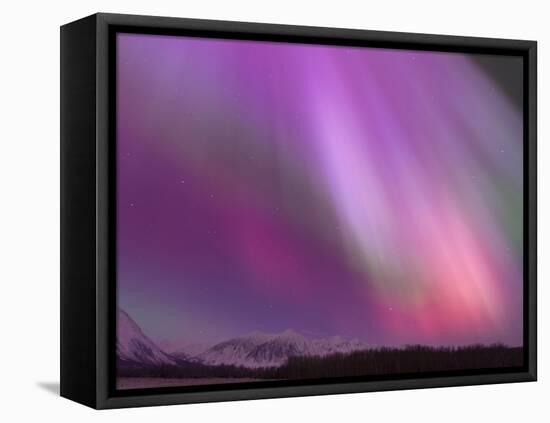 Aurora Borealis, Wrangell Mountains, Alaska, USA-Hugh Rose-Framed Premier Image Canvas