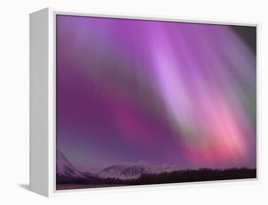 Aurora Borealis, Wrangell Mountains, Alaska, USA-Hugh Rose-Framed Premier Image Canvas