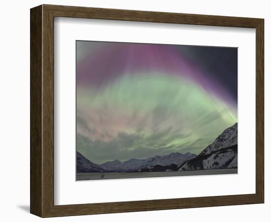 Aurora Borealis, Wrangell Mountains, Alaska, USA-Hugh Rose-Framed Photographic Print