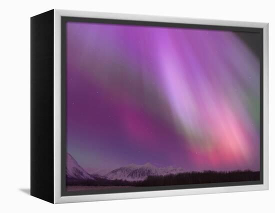 Aurora Borealis, Wrangell Mountains, Alaska, USA-Hugh Rose-Framed Premier Image Canvas