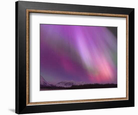 Aurora Borealis, Wrangell Mountains, Alaska, USA-Hugh Rose-Framed Photographic Print