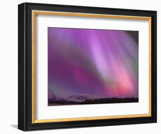 Aurora Borealis, Wrangell Mountains, Alaska, USA-Hugh Rose-Framed Photographic Print