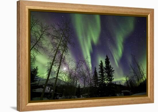 Aurora Borealis X-Larry Malvin-Framed Premier Image Canvas