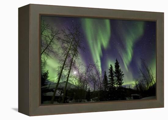 Aurora Borealis X-Larry Malvin-Framed Premier Image Canvas