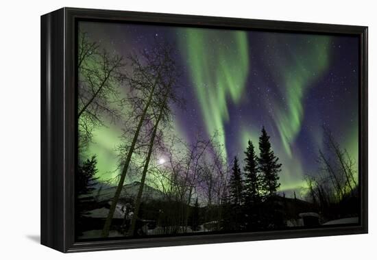 Aurora Borealis X-Larry Malvin-Framed Premier Image Canvas