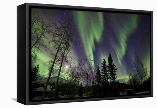 Aurora Borealis X-Larry Malvin-Framed Premier Image Canvas