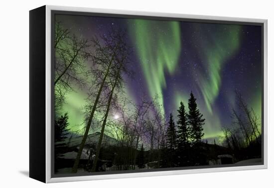 Aurora Borealis X-Larry Malvin-Framed Premier Image Canvas