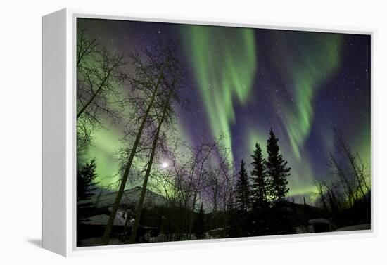 Aurora Borealis X-Larry Malvin-Framed Premier Image Canvas