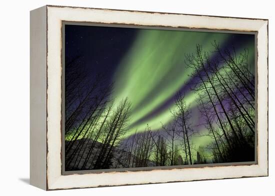 Aurora Borealis XI-Larry Malvin-Framed Premier Image Canvas