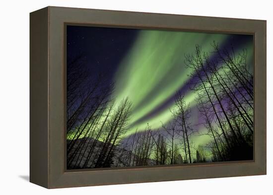 Aurora Borealis XI-Larry Malvin-Framed Premier Image Canvas