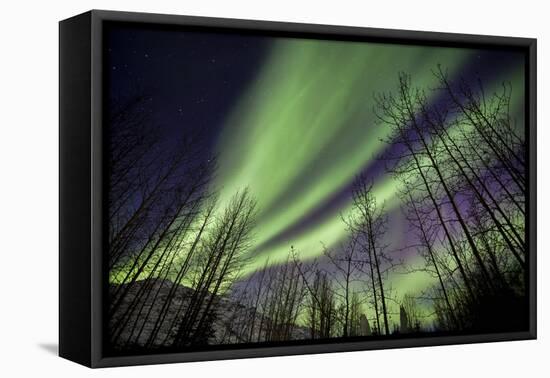Aurora Borealis XI-Larry Malvin-Framed Premier Image Canvas