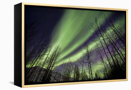 Aurora Borealis XI-Larry Malvin-Framed Premier Image Canvas