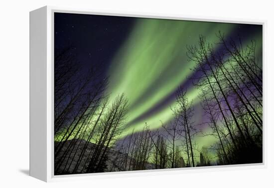 Aurora Borealis XI-Larry Malvin-Framed Premier Image Canvas
