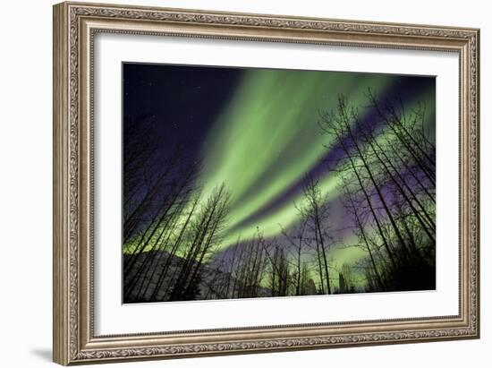 Aurora Borealis XI-Larry Malvin-Framed Photographic Print