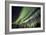 Aurora Borealis XI-Larry Malvin-Framed Photographic Print