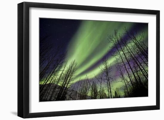 Aurora Borealis XI-Larry Malvin-Framed Photographic Print