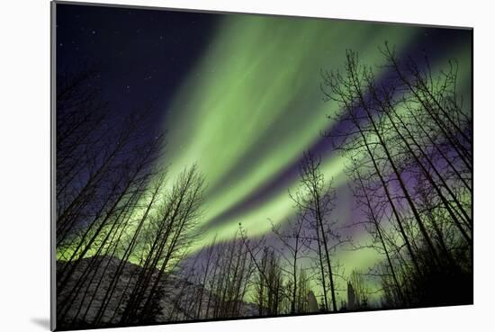 Aurora Borealis XI-Larry Malvin-Mounted Photographic Print