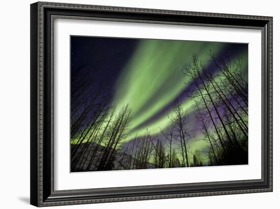 Aurora Borealis XI-Larry Malvin-Framed Photographic Print