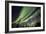 Aurora Borealis XI-Larry Malvin-Framed Photographic Print