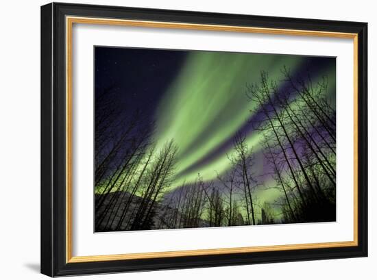 Aurora Borealis XI-Larry Malvin-Framed Photographic Print