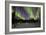 Aurora Borealis XII-Larry Malvin-Framed Photographic Print