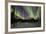 Aurora Borealis XII-Larry Malvin-Framed Photographic Print