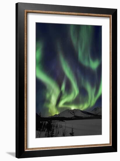 Aurora Borealis XIV-Larry Malvin-Framed Photographic Print