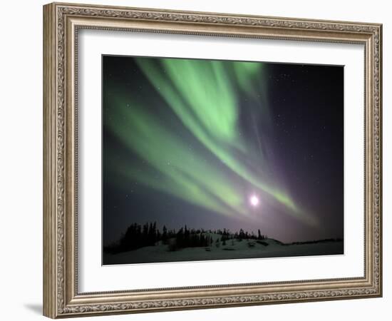 Aurora Borealis, Yellowknife, Northwest Territories, Canada-Stocktrek Images-Framed Photographic Print