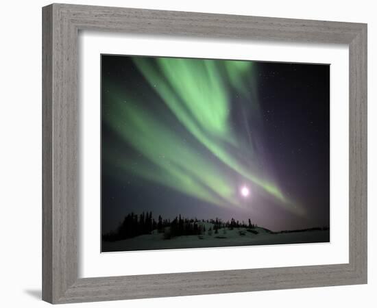 Aurora Borealis, Yellowknife, Northwest Territories, Canada-Stocktrek Images-Framed Photographic Print