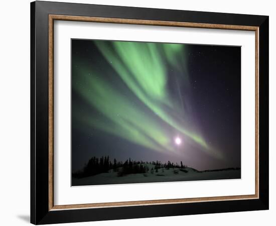 Aurora Borealis, Yellowknife, Northwest Territories, Canada-Stocktrek Images-Framed Photographic Print