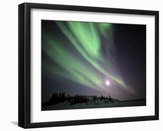 Aurora Borealis, Yellowknife, Northwest Territories, Canada-Stocktrek Images-Framed Photographic Print