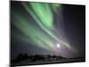 Aurora Borealis, Yellowknife, Northwest Territories, Canada-Stocktrek Images-Mounted Photographic Print