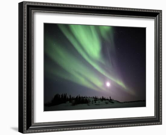 Aurora Borealis, Yellowknife, Northwest Territories, Canada-Stocktrek Images-Framed Photographic Print