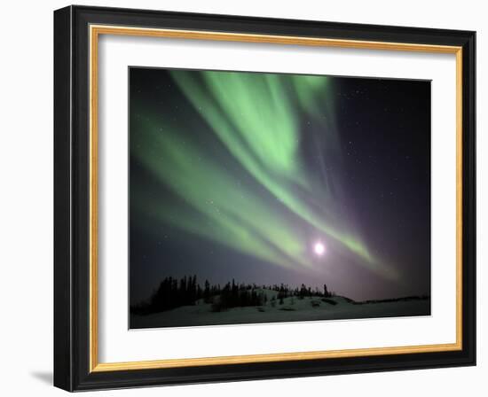 Aurora Borealis, Yellowknife, Northwest Territories, Canada-Stocktrek Images-Framed Photographic Print