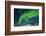 Aurora Borealis, Yellowknife, Northwest Territories, Canada.-Michael DeFreitas-Framed Photographic Print